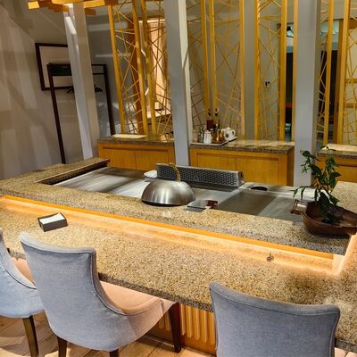 Meja Panggang Teppanyaki Komersial dengan Baja Alloy Berkualitas Makanan dan Pemanasan Listrik/Gas dalam Ukuran 1200*850*800mm